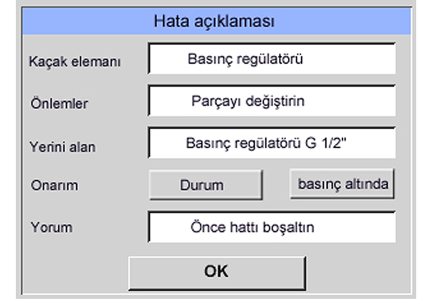 Kullanıcı arayüzü: Kaçaklara genel bakış ve hata tanımı 